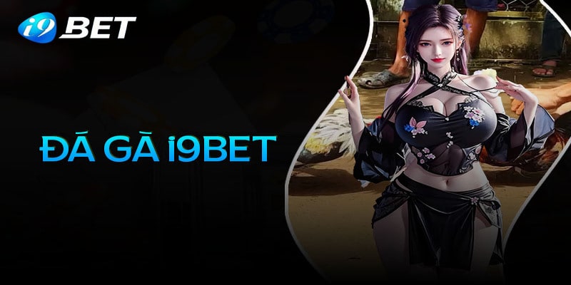 Game đá gà i9bet online là gì?